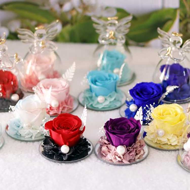 الوردة الملائكية الأبدية