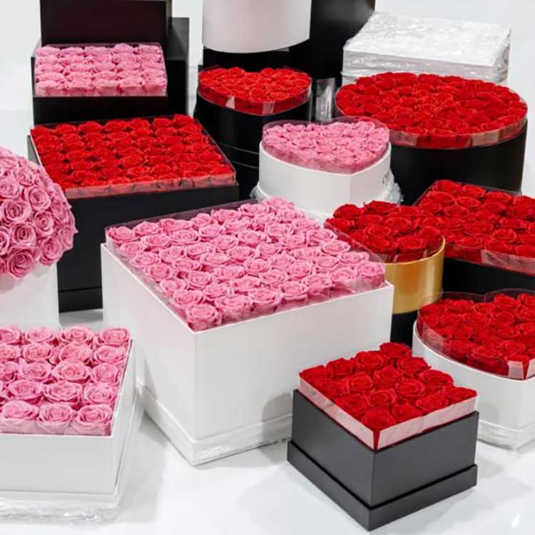 دلو عناق الزهور المحفوظة