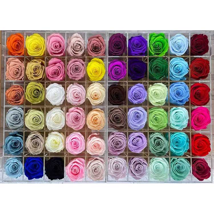 الورود المحفوظة